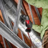 НОЖИЦІ ПО МЕТАЛУ ЛИСТОВОМУ Milwaukee M12 FUEL 16 Gauge Variable Speed Nibbler